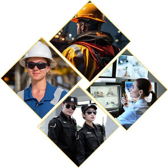 PHR Phenix HR Human Resources Consultancy